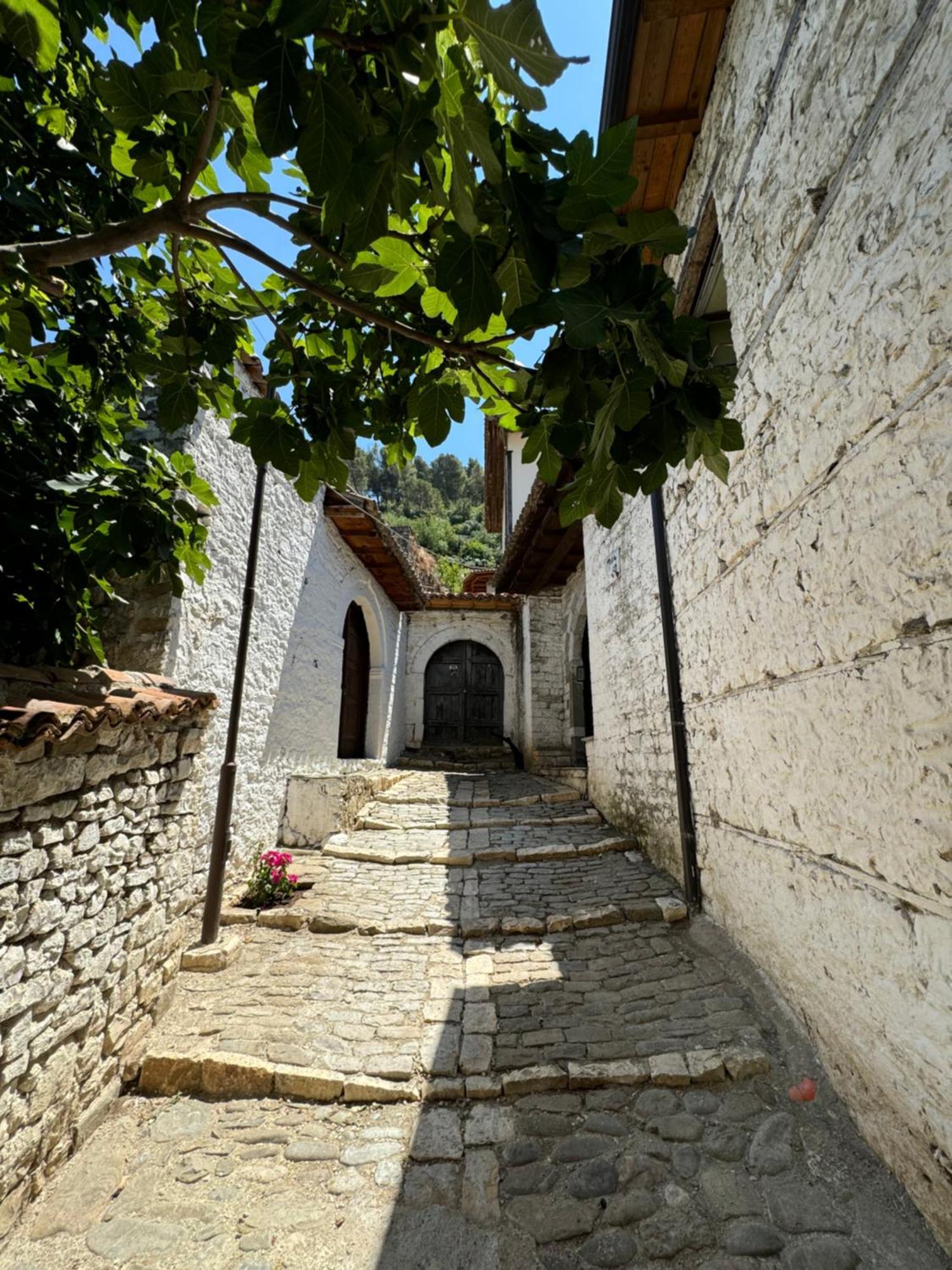 Meroli Guesthouse - Unesco Quarter Berat Kültér fotó